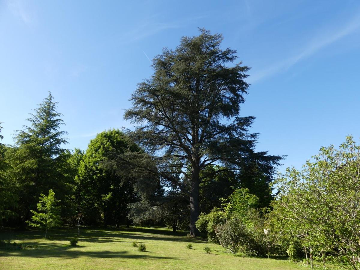 Le Petit Chateau - Adults Only Property Le Bugue Eksteriør billede